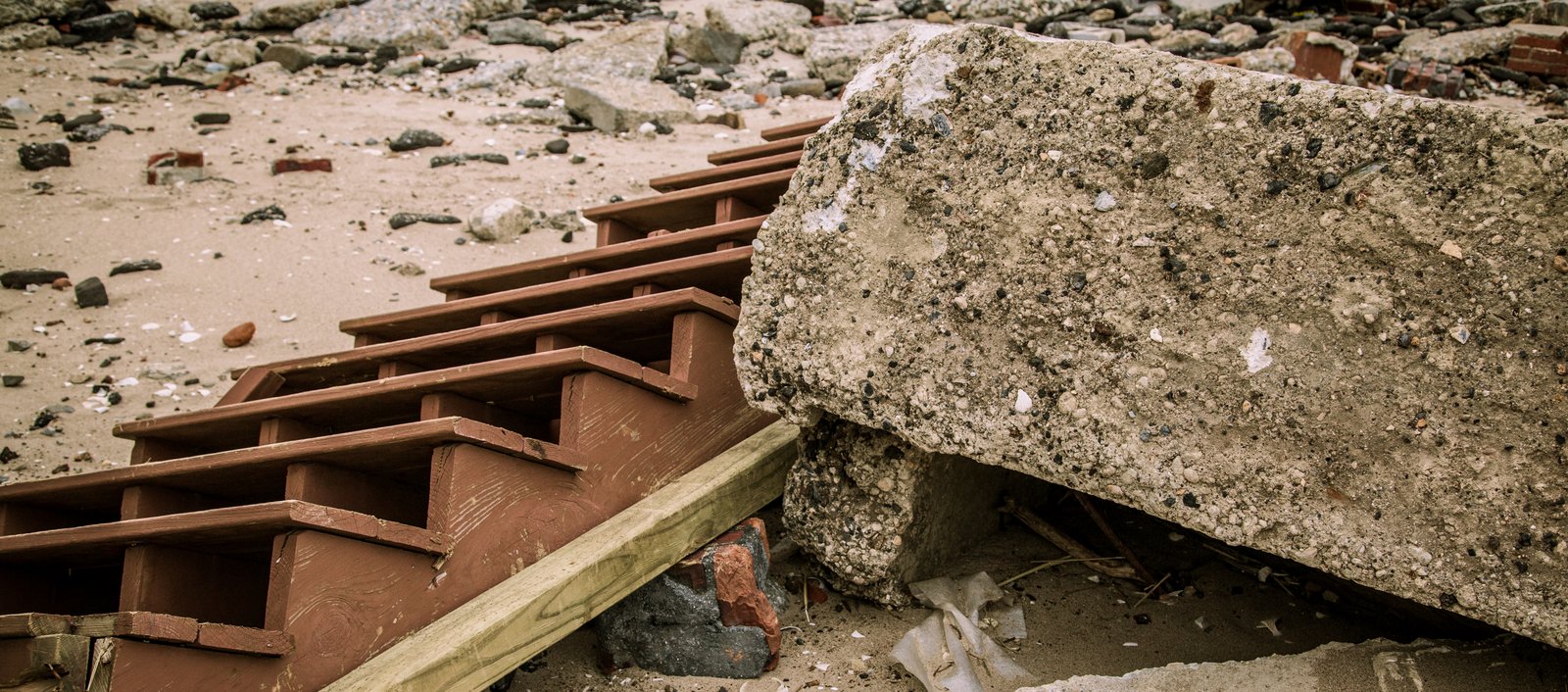 art-of-sandy-mo-seagate 2-37.jpg